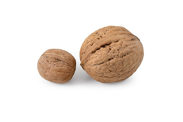 Image showing Two walnuts