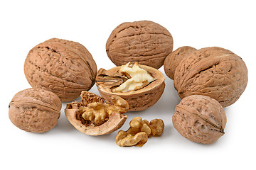 Image showing Walnuts