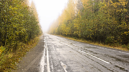 Image showing Road through the foggy autumn forest