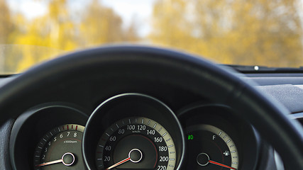 Image showing Car steering wheel in autumn