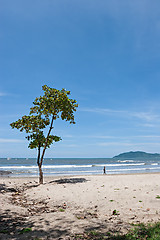 Image showing Tropical Beach