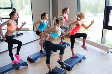 Image showing group of women working out with steppers in gym