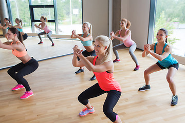 Image showing group of women making squats in gym