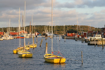 Image showing Five Boats in the Harbour
