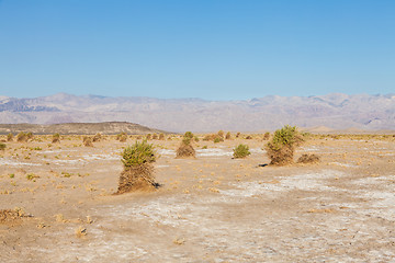 Image showing Death Valley Desert