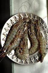 Image showing Shrimps