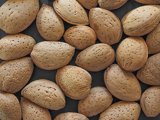 Image showing Almond fruit