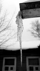 Image showing large icicle 