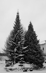 Image showing Green Christmas tree 