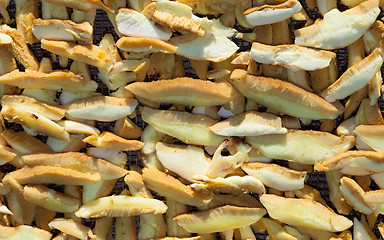 Image showing Boletus mushrooms sliced and stacked for drying