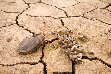 Image showing sea drought change of  climate heat water