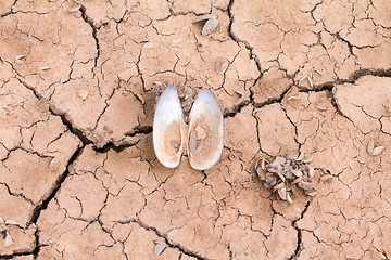 Image showing sea drought change of  climate heat water