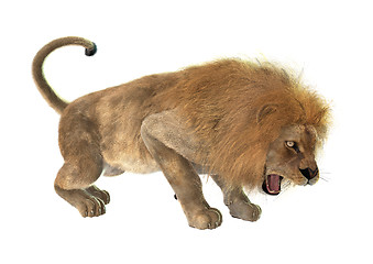 Image showing Angry Lion