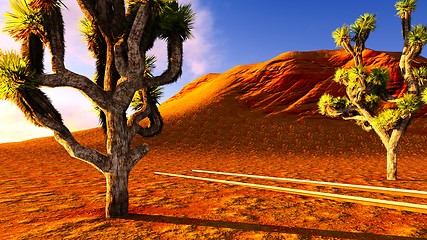 Image showing Joshua trees and railroad