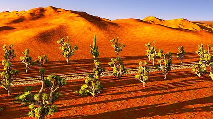 Image showing Joshua trees and railroad