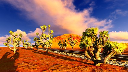 Image showing Joshua trees and railroad