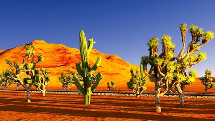 Image showing Joshua trees and railroad