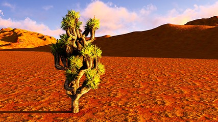 Image showing Joshua trees and railroad