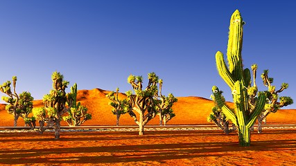 Image showing Joshua trees and railroad