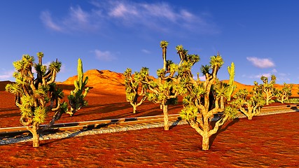 Image showing Joshua trees and railroad