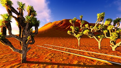 Image showing Joshua trees and railroad