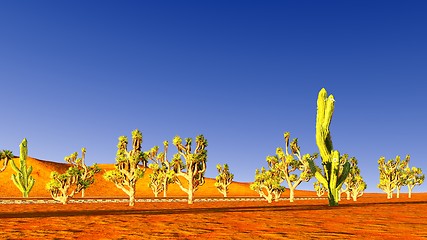 Image showing Joshua trees and railroad