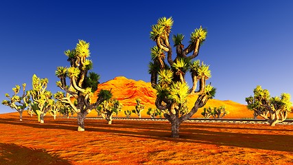 Image showing Joshua trees and railroad