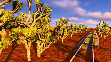 Image showing Joshua trees and railroad