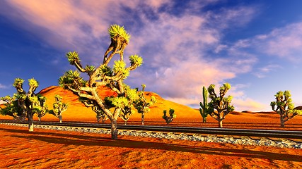 Image showing Joshua trees and railroad