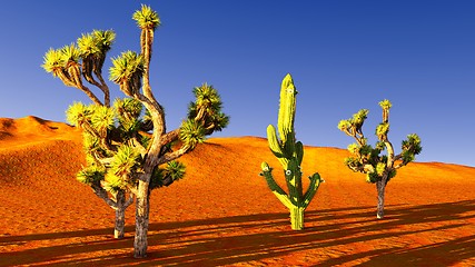 Image showing Joshua trees and railroad