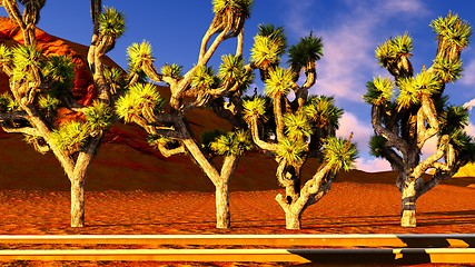 Image showing Joshua trees and railroad