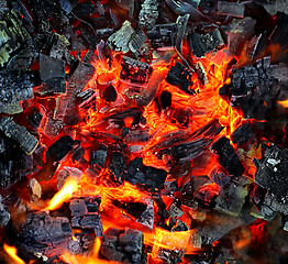 Image showing Live coals