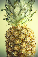 Image showing Ripe pineapple