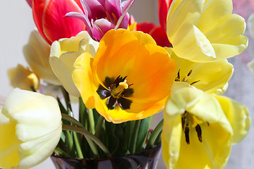 Image showing Bouquet of colorful spring tulips