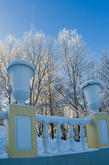 Image showing A beautiful city park with trees covered with hoarfrost