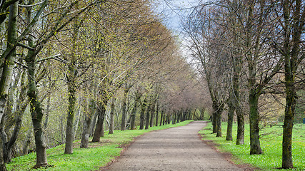 Image showing Alley in Spring Park