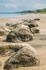 Image showing Stony on coast of Baltic sea early in the morning