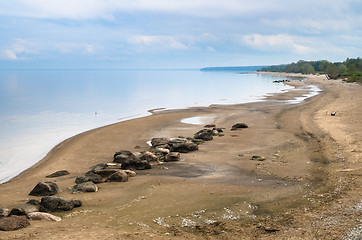 Image showing Morning landscape on a beach of Baltic sea