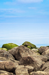 Image showing Stony coast of Baltic sea early in the morning