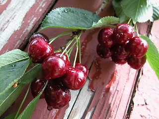 Image showing cherry