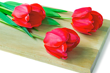 Image showing Three red tulips on a white background.