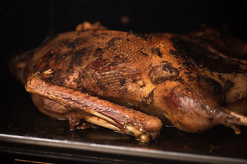 Image showing roasted goose 