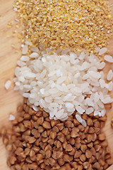 Image showing Cereals