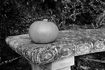 Image showing Small gourd on a stone bench