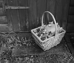 Image showing Basket with pumpkin, dry leaves and fir cones on a rustic step