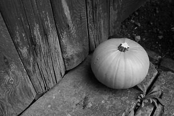 Image showing Ripe pumpkin by a weathered door