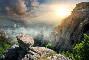 Image showing Birds and rocks