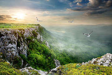 Image showing Birds over plateau