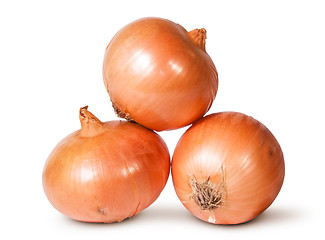 Image showing Fresh Golden Onions