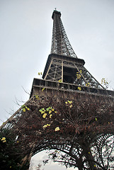 Image showing Eiffel Tower